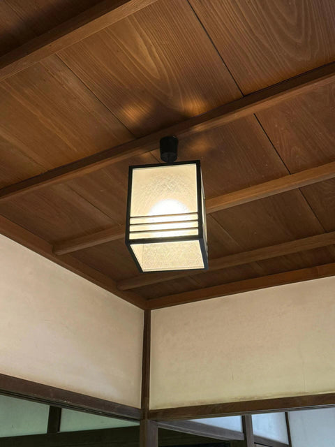 Refined Japanese Light Styles