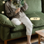 Mizuki Wood Sofa