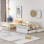 Shizu Bunk Bed