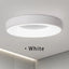 Misato Ceiling Light