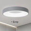 Misato Ceiling Light