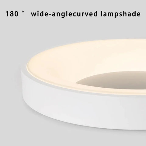Misato Ceiling Light
