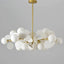 Orai Chandelier Light
