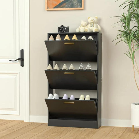 Michio Shoes Storage Cabinet