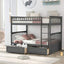Shizu Bunk Bed